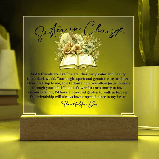 Sister in Christ Christian Mentor Gifts for Women of Faith Friendship – view 2