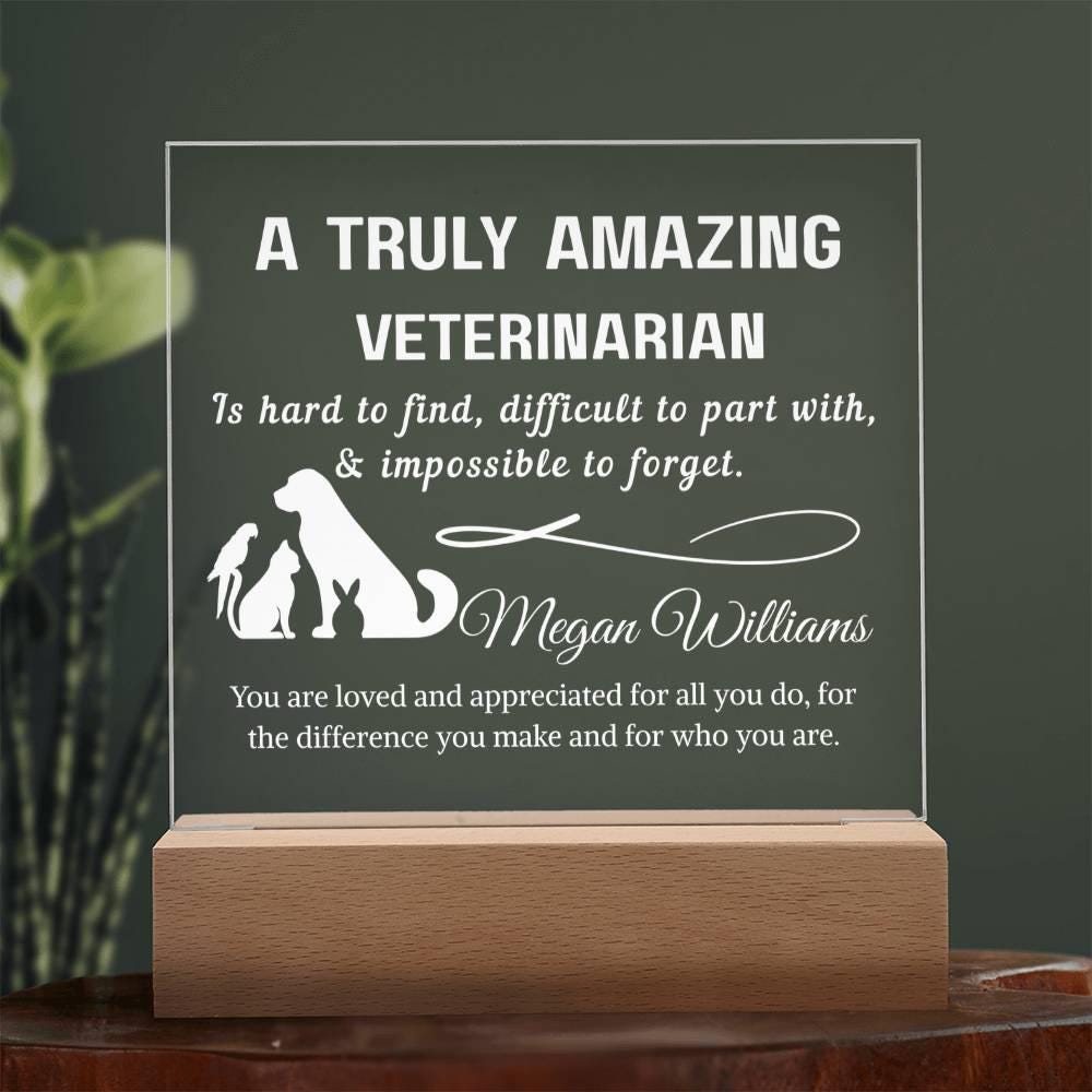 Veterinarian Gift Personalized LED Acrylic Plaque – Vet Doctor Gift – view 10