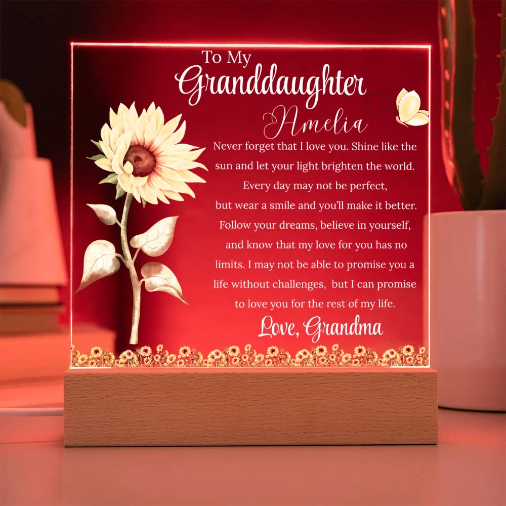 To My Granddaughter Personalized Acrylic Plaque – Gift from Grandma – view 10