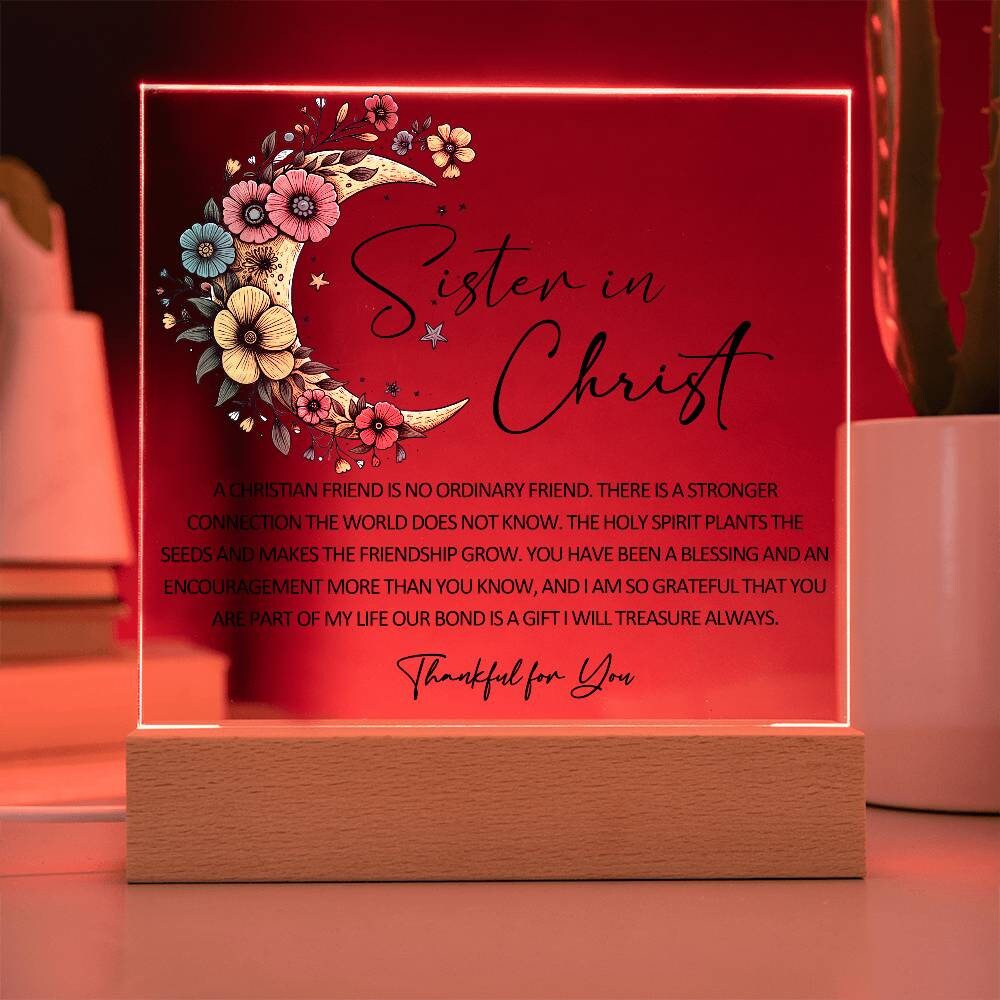 Sister in Christ Friendship Christmas Gift Christian Thank you Friend – view 7