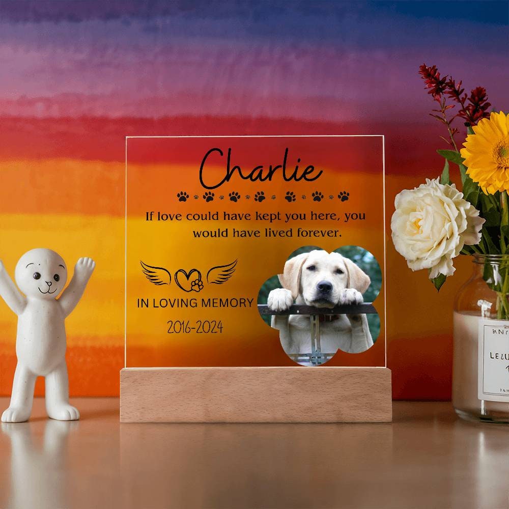 Pet memorial custom picture frame Plaque for pet remembrance – view 8