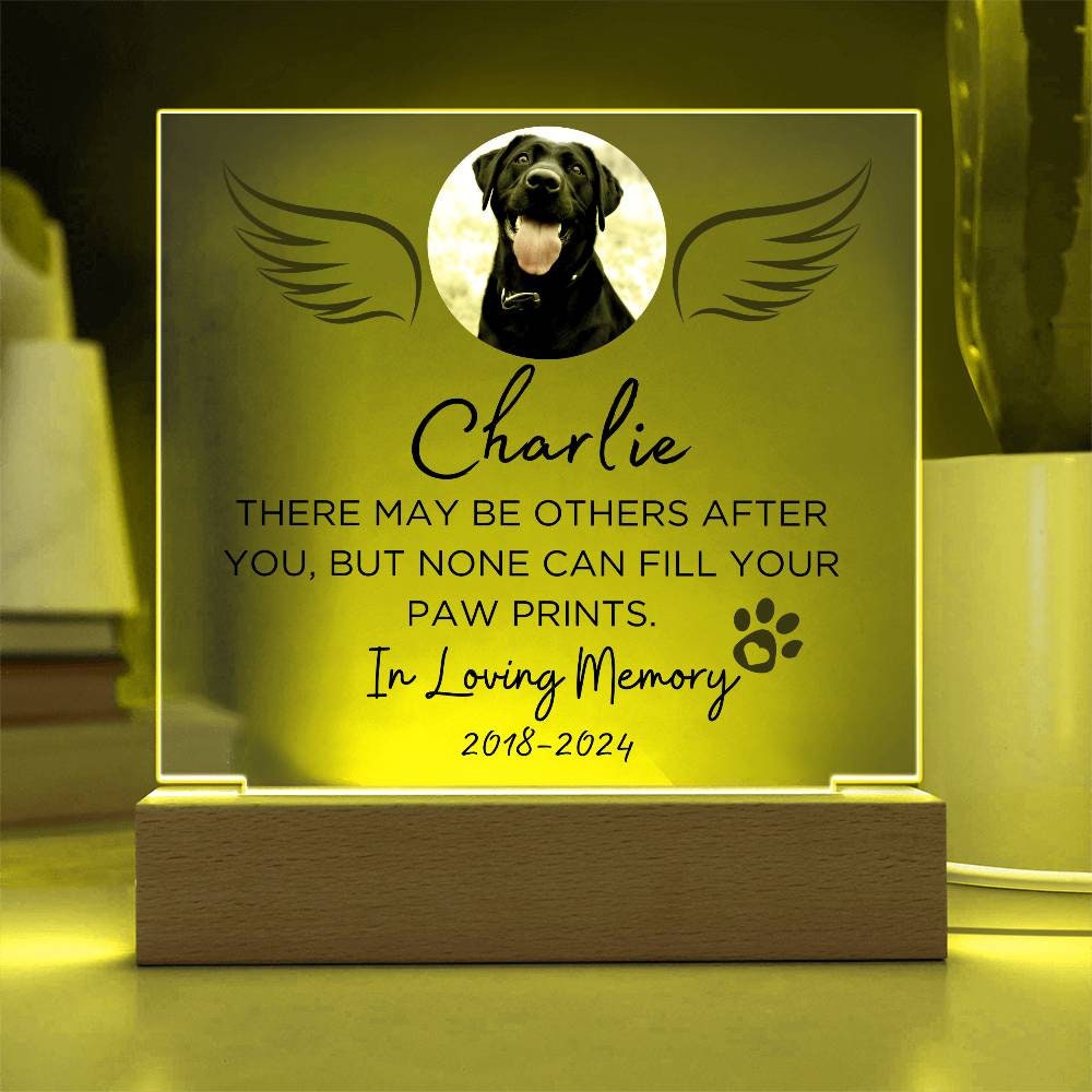 Pet loss custom memorial plaque in memory of pet remembrance gift – view 2