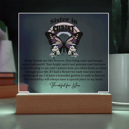 Sister in Christ Christian Friendship Gift Christian Birthday Gift – view 7