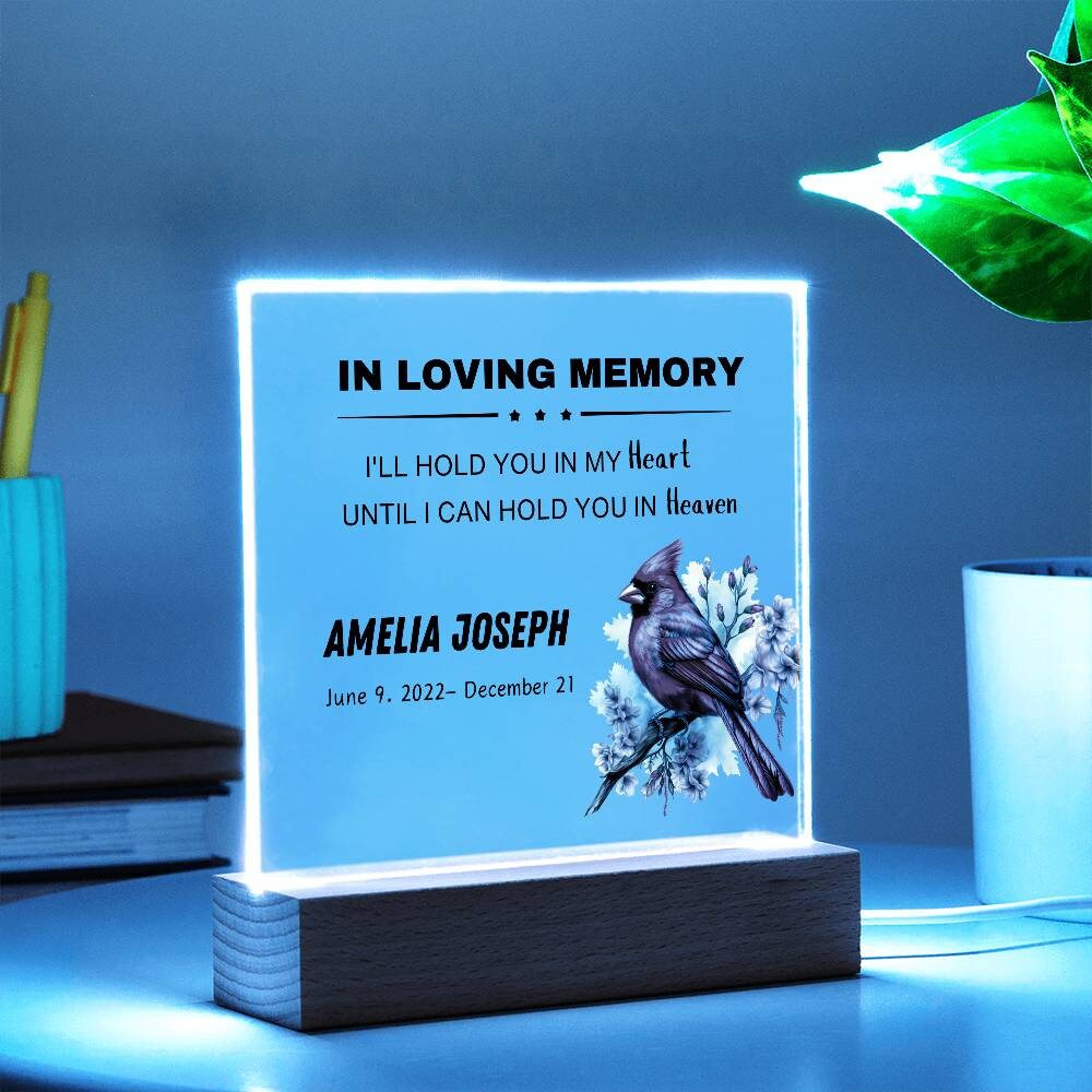 In loving memory memorial plaque – sympathy gift – view 8