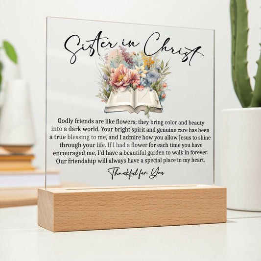 Sister in Christ Christian Mentor Gifts for Women of Faith Friendship