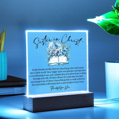 Sister in Christ Christian Mentor Gifts for Women of Faith Friendship – view 3