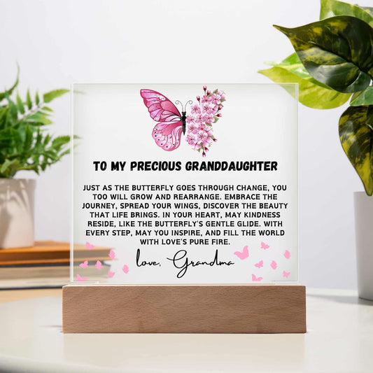 Personalized Granddaughter Gift Acrylic plaque – Birthday gift for her
