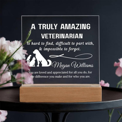 Veterinarian Gift Personalized LED Acrylic Plaque – Vet Doctor Gift – view 3