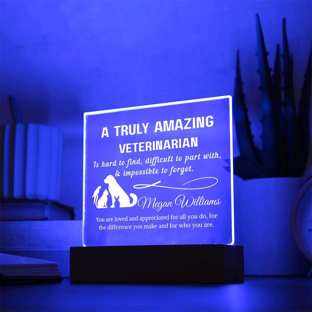 Veterinarian Gift Personalized LED Acrylic Plaque – Vet Doctor Gift – view 9
