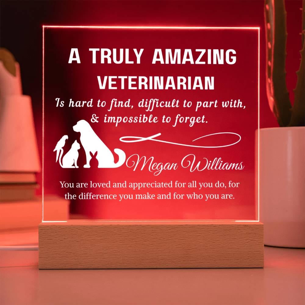 Veterinarian Gift Personalized LED Acrylic Plaque – Vet Doctor Gift – view 4