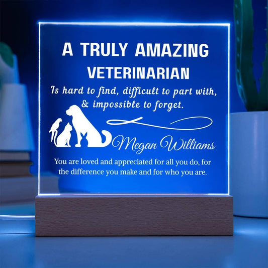 Veterinarian Gift Personalized LED Acrylic Plaque – Vet Doctor Gift – view 2