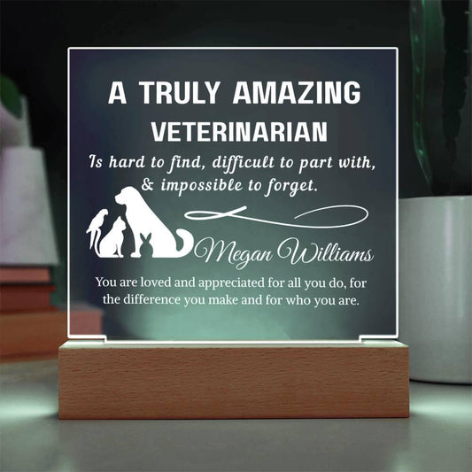 Veterinarian Gift Personalized LED Acrylic Plaque – Vet Doctor Gift