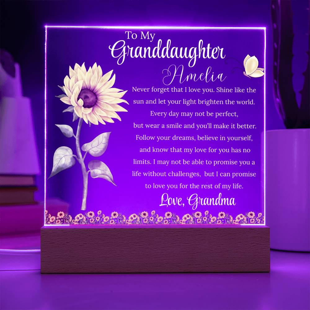 To My Granddaughter Personalized Acrylic Plaque – Gift from Grandma – view 4
