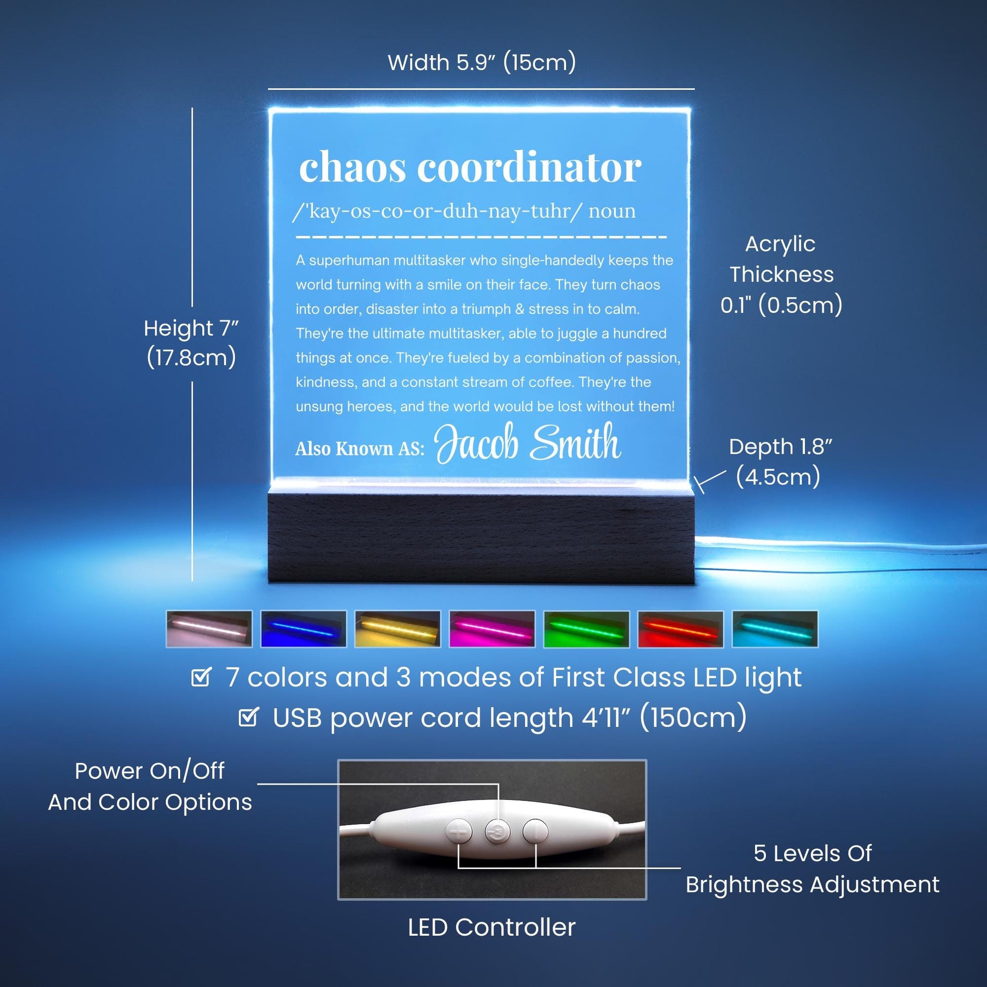 Personalized Chaos Coordinator Gift – Funny Manager Gift – view 7