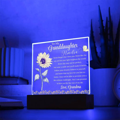 To My Granddaughter Personalized Acrylic Plaque – Gift from Grandma – view 2