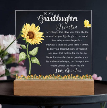 To My Granddaughter Personalized Acrylic Plaque – Gift from Grandma