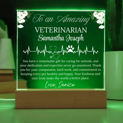 Veterinarian Gift Personalized Acrylic Plaque With LED Base – view 10